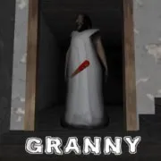 Play Granny Game
