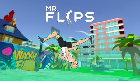 Mr Flip